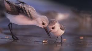 Le coaching interne dans les PME et les TPE