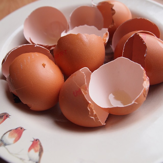 Théorie de l'omelette